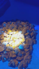 Green Sodalite - Mineral