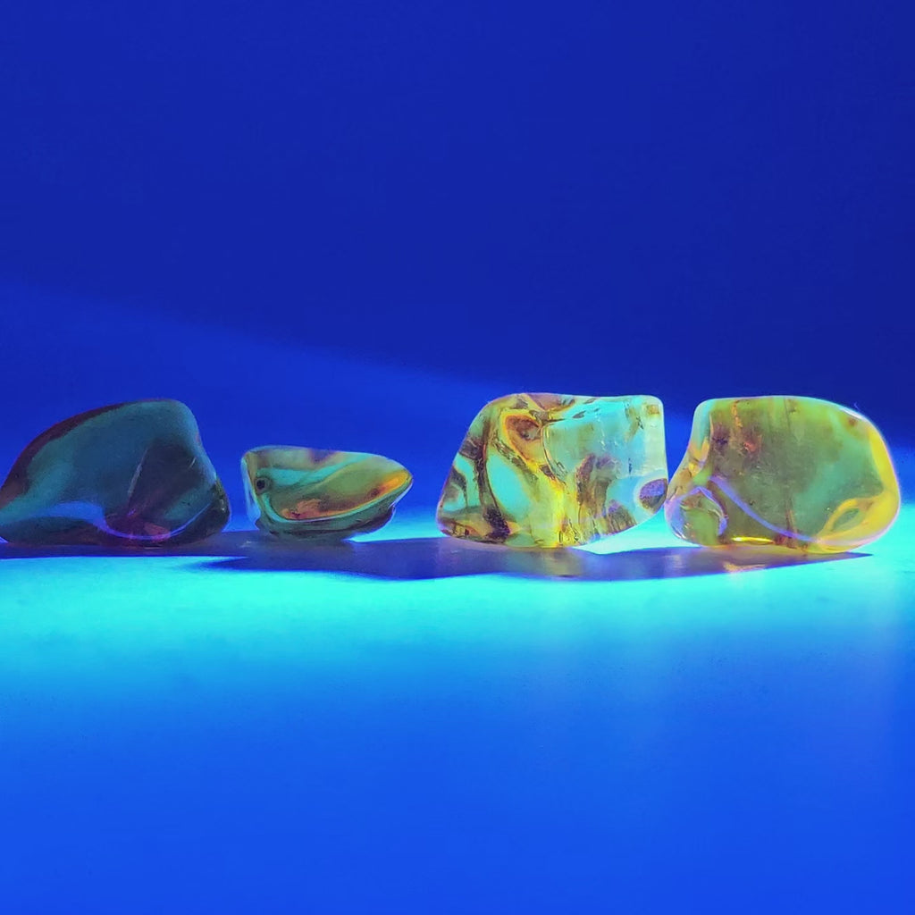 Baltic Amber - Tumble - Era: Eocene - Lithuania - UV reactive