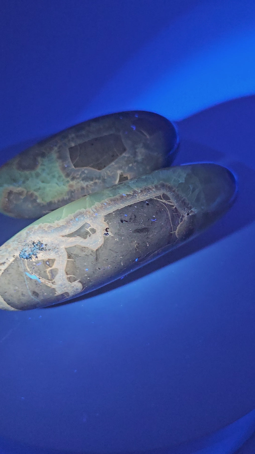 Septarian - Massage Wand - Madagascar - Ultraviolet