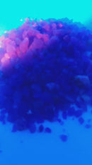 Hackmanite - Mineral