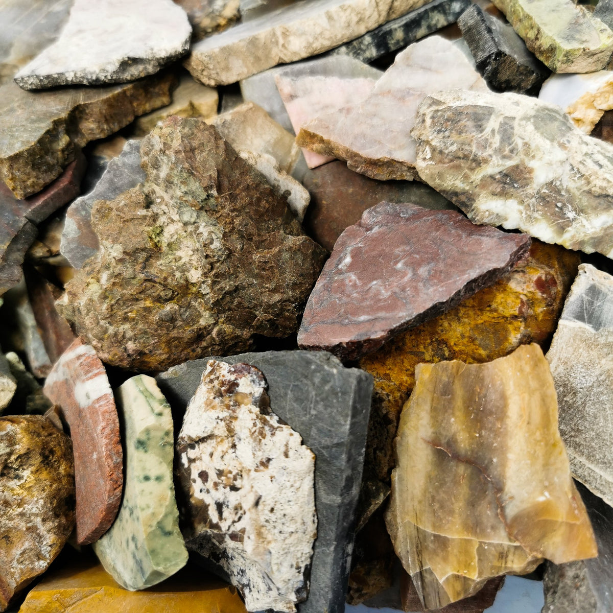 2 dollar lapidary slab – assorted slabs, close view
