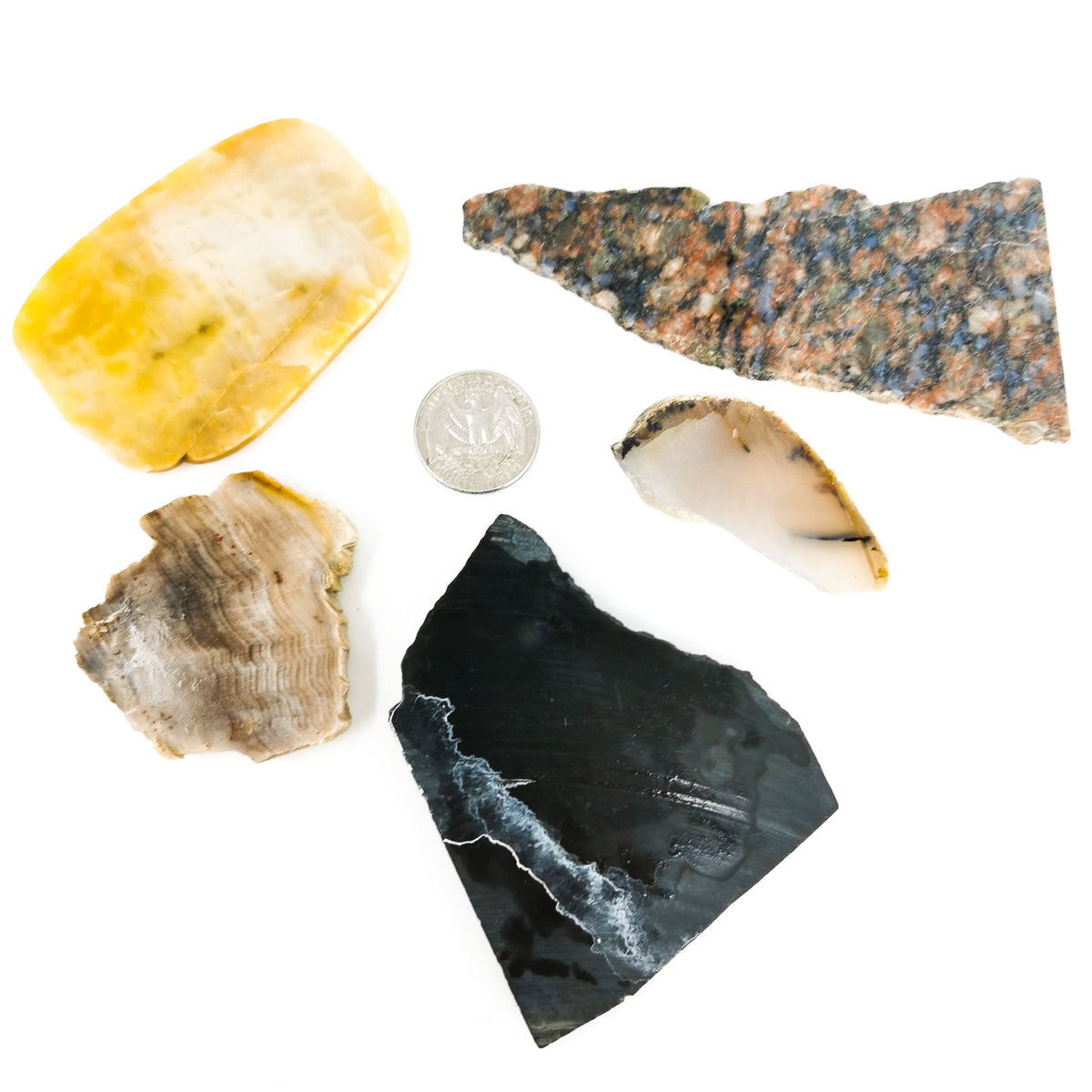 Lapidary slab, assorted agate and jasper – slabs beside a coin for scale