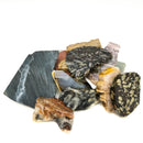 3 Dollar Lapidary Slab - Rough