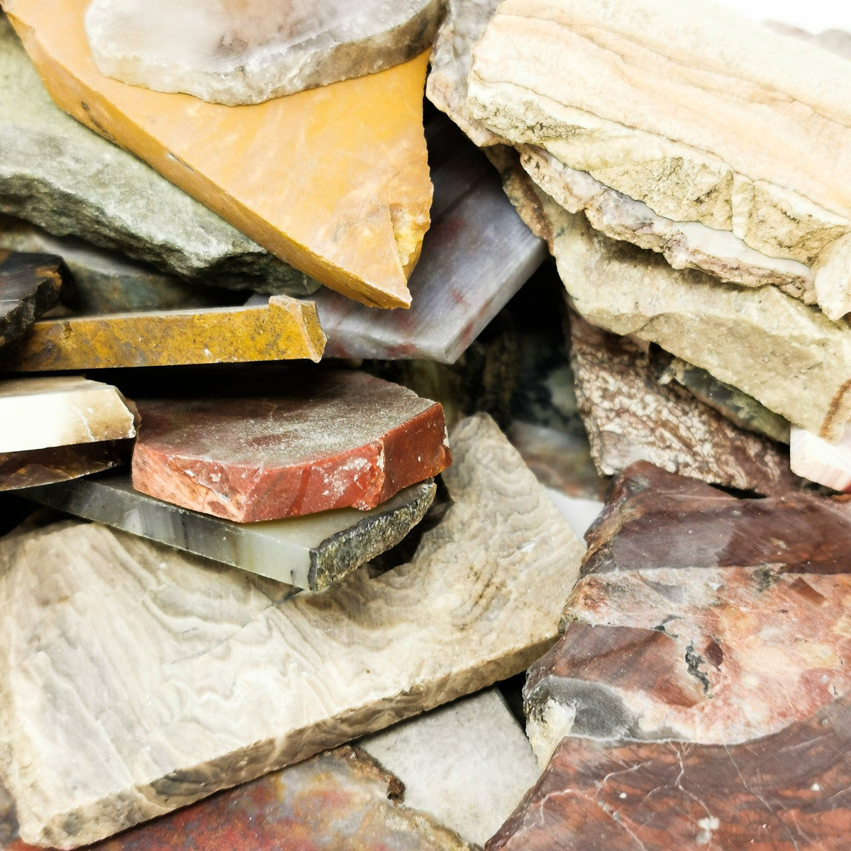 4 dollar lapidary slab – slabs, close view