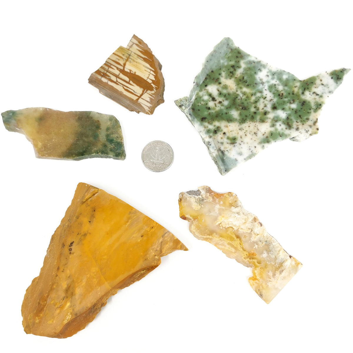 Assorted lapidary slab – six slabs around a coin for scale