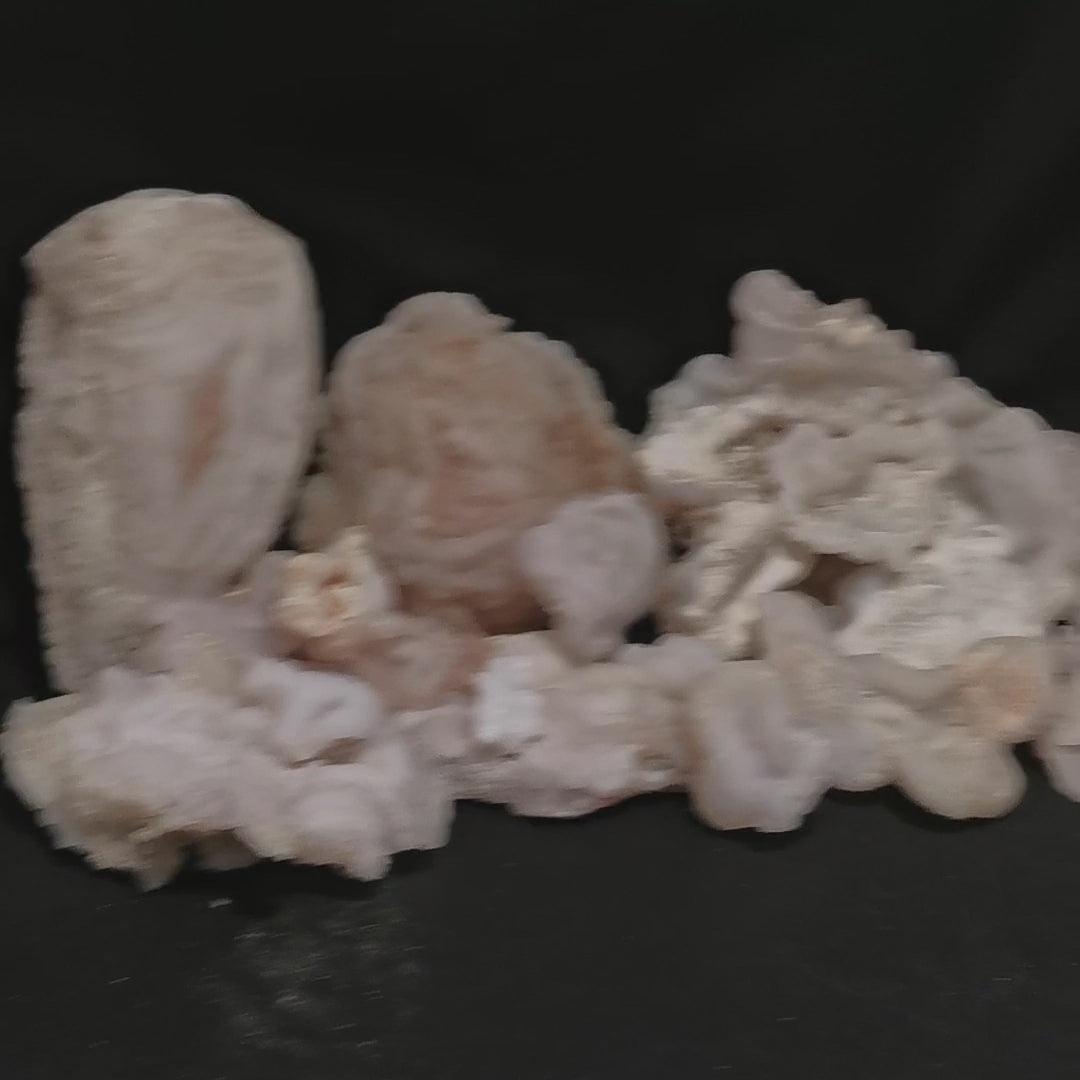 Chalcedony Roses (Large) specimen, a variety of chalcedony, from New Mexico, USA.