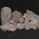 玉髓玫瑰（大）- 矿物