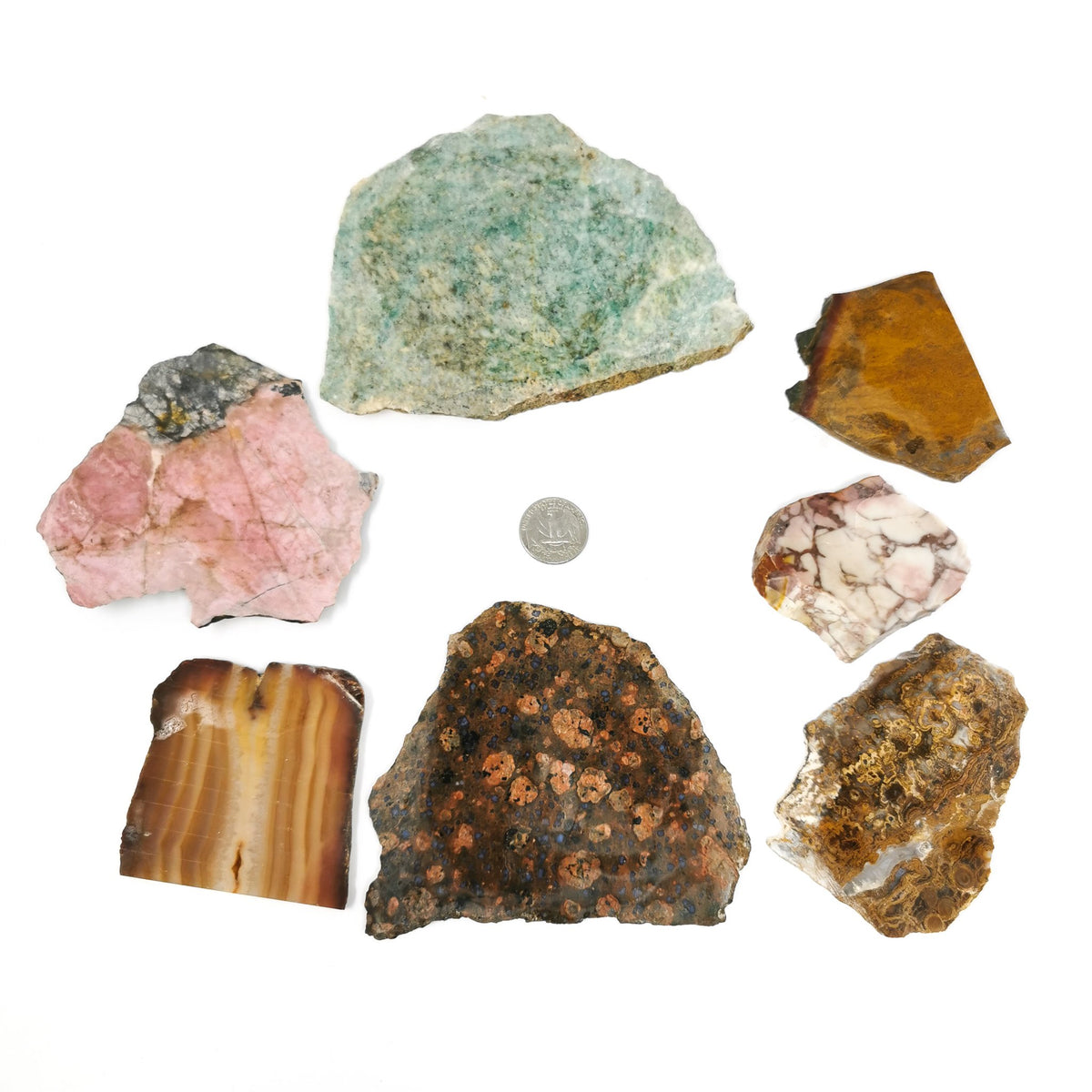 Lapidary slab, assorted agate and jasper – assorted slabs beside a coin