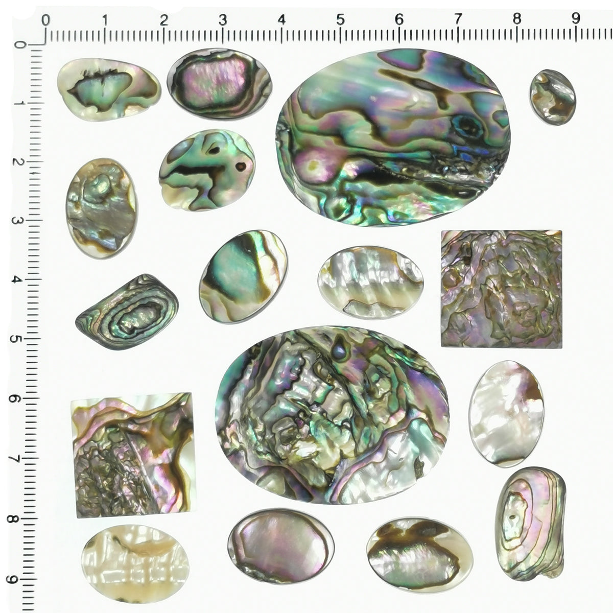 Abalone cabochon.