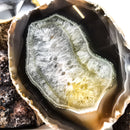 Brazilian Agate Half - Polished Face