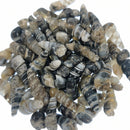 玛瑙化 Elimia 贝壳 - 化石