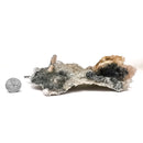 Amethyst Flower - Mineral Specimen