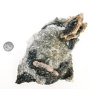 Amethyst Flower - Mineral Specimen