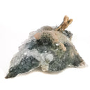 Amethyst Flower - Mineral Specimen