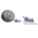 Americruz 紫水晶 - 矿物