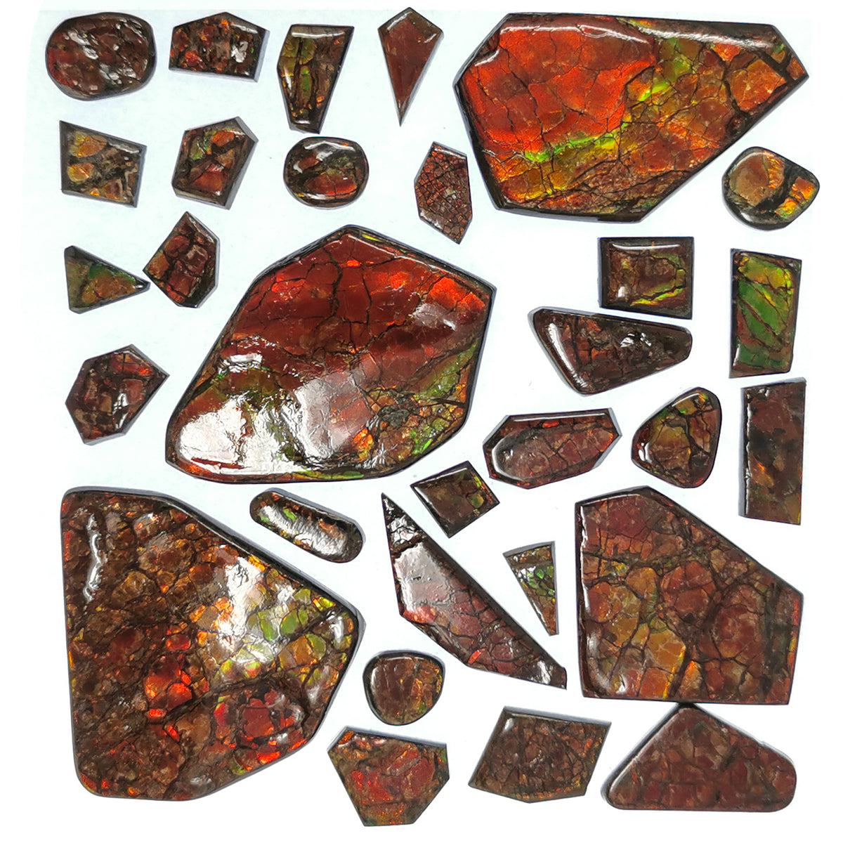 Ammolite high grade cabochon from Alberta, Canada.