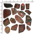 斑彩石 - 中级 - 凸圆形