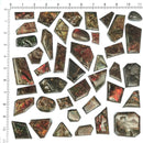 菊石 - 低品位 - 凸圆形