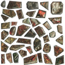 菊石 - 低品位 - 凸圆形