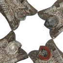 Ammonite & Orthoceras - Fossil