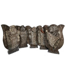 Ammonite & Orthoceras - Fossil