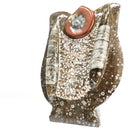 Ammonite & Orthoceras - Fossil