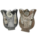 Ammonite & Orthoceras - Fossil