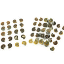 菊石切片 - 一对 - 化石