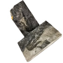 康涅狄格州米德尔敦近龙（一对）- 标本