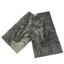 康涅狄格州米德尔敦近龙（一对）- 标本