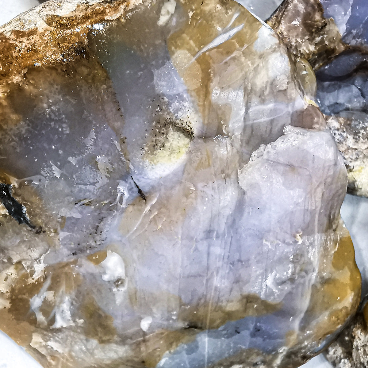 Arrow Stone Agate rough, a variety of chalcedony, from Cache Creek, British Columbia, Canada.