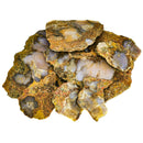 Arrow Stone Agate - Rough Slab