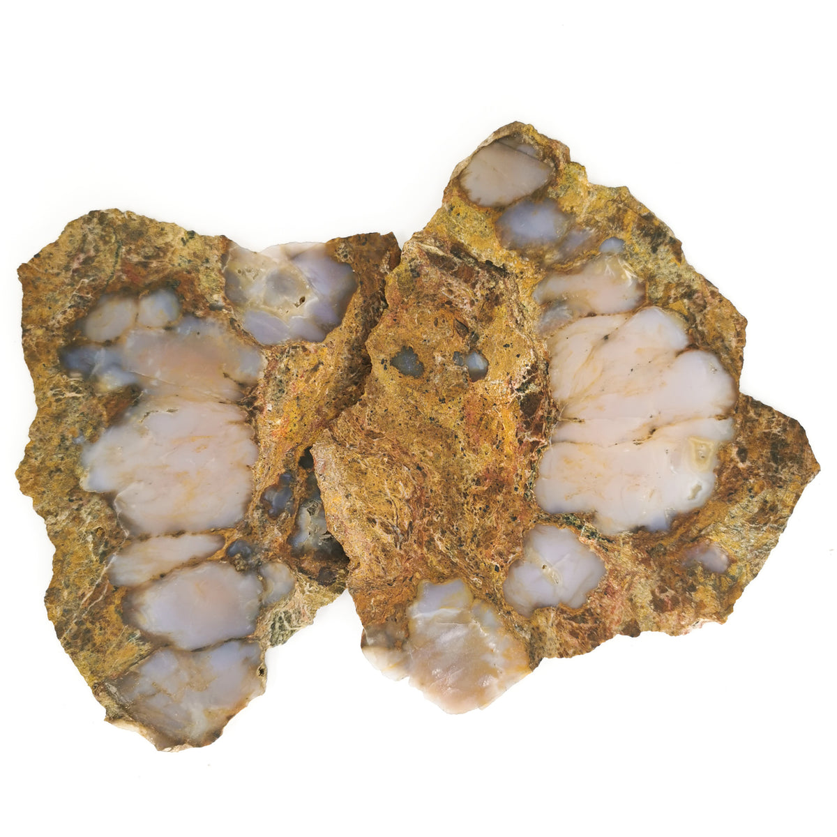 Arrow Stone Agate rough slab, a variety of chalcedony, from Cache Creek, British Columbia, Canada.
