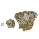 Arrow Stone Agate - Rough Slab