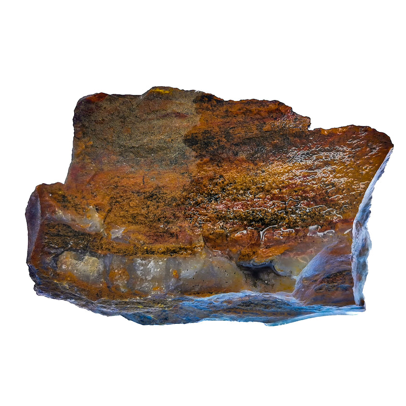 Assorted Petrified Wood - Medium Grade - Rough