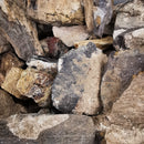 Assorted Petrified Wood - Medium Grade - Rough