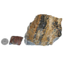 Assorted Petrified Wood - Medium Grade - Rough