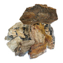 Assorted Petrified Wood - Medium Grade - Rough