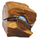 Australia Boulder Opal Puzzle - Mineral Specimen