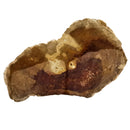 Australian Fossilized Wood - Rough