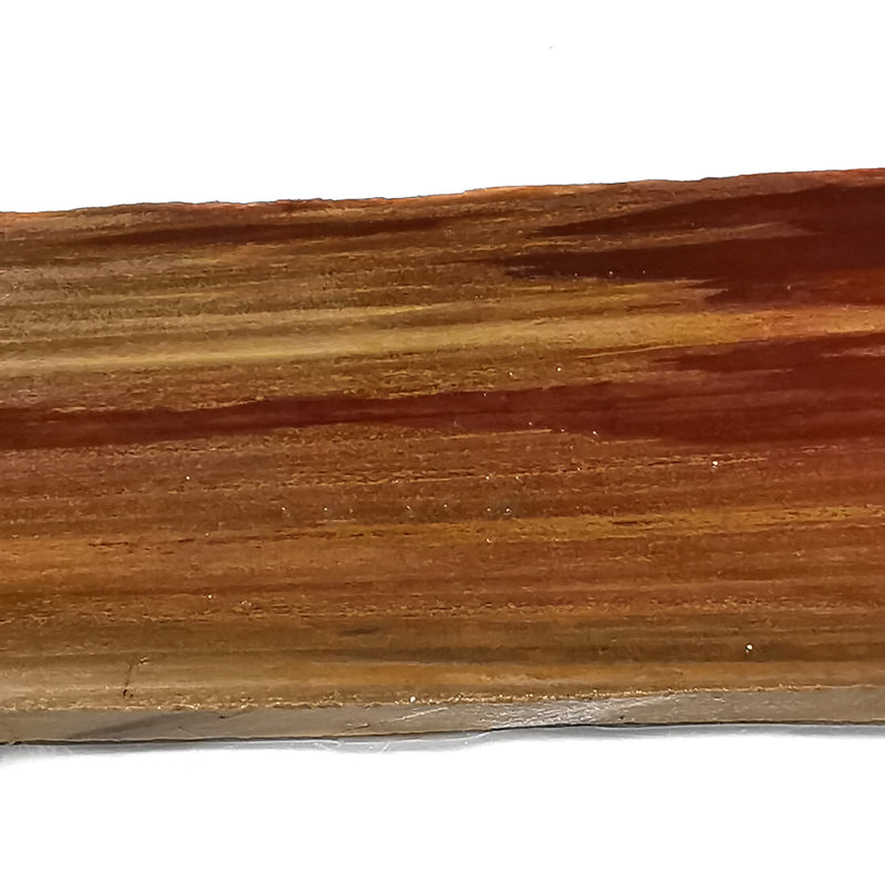 Australian Fossilized Wood - Rough
