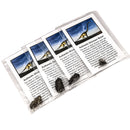 Dinosaur Bone - Fossil