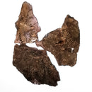 Axinite 蚀刻 - 矿物