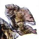 Axinite 蚀刻 - 矿物