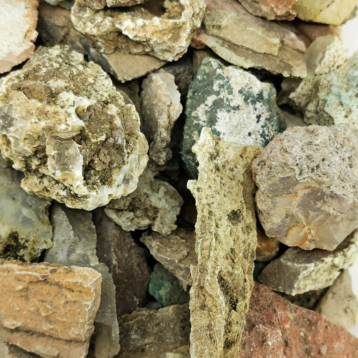 BC Float Agate rough, a variety of chalcedony, from British Columbia, Canada.
