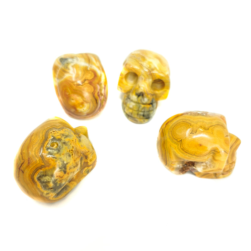 Crazy Lace Agate - Skull