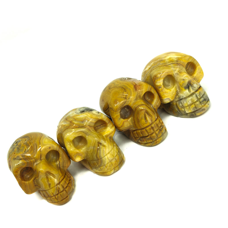 Crazy Lace Agate - Skull