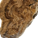 Banded Honey Onyx - Rough