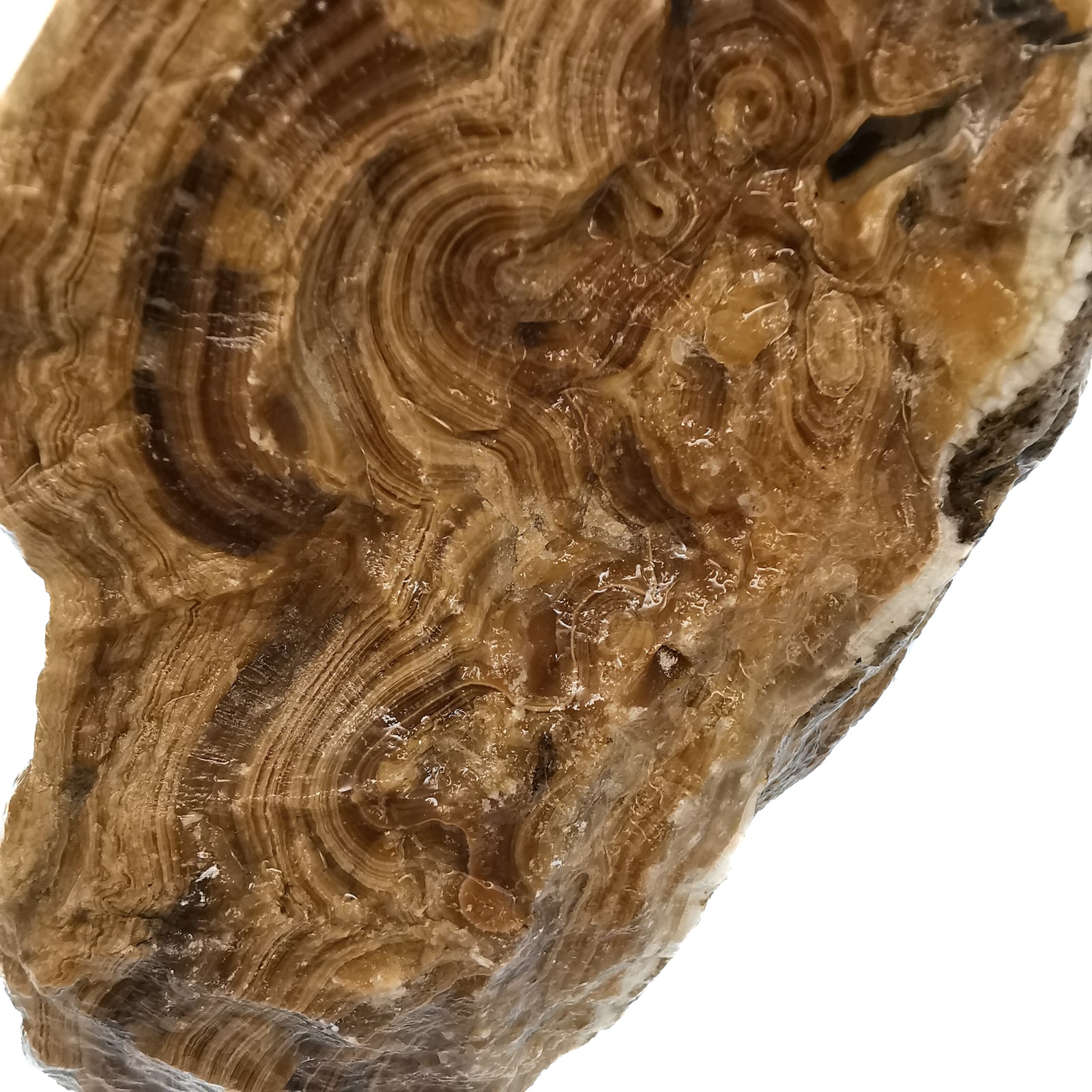 Banded Honey Onyx - Rough