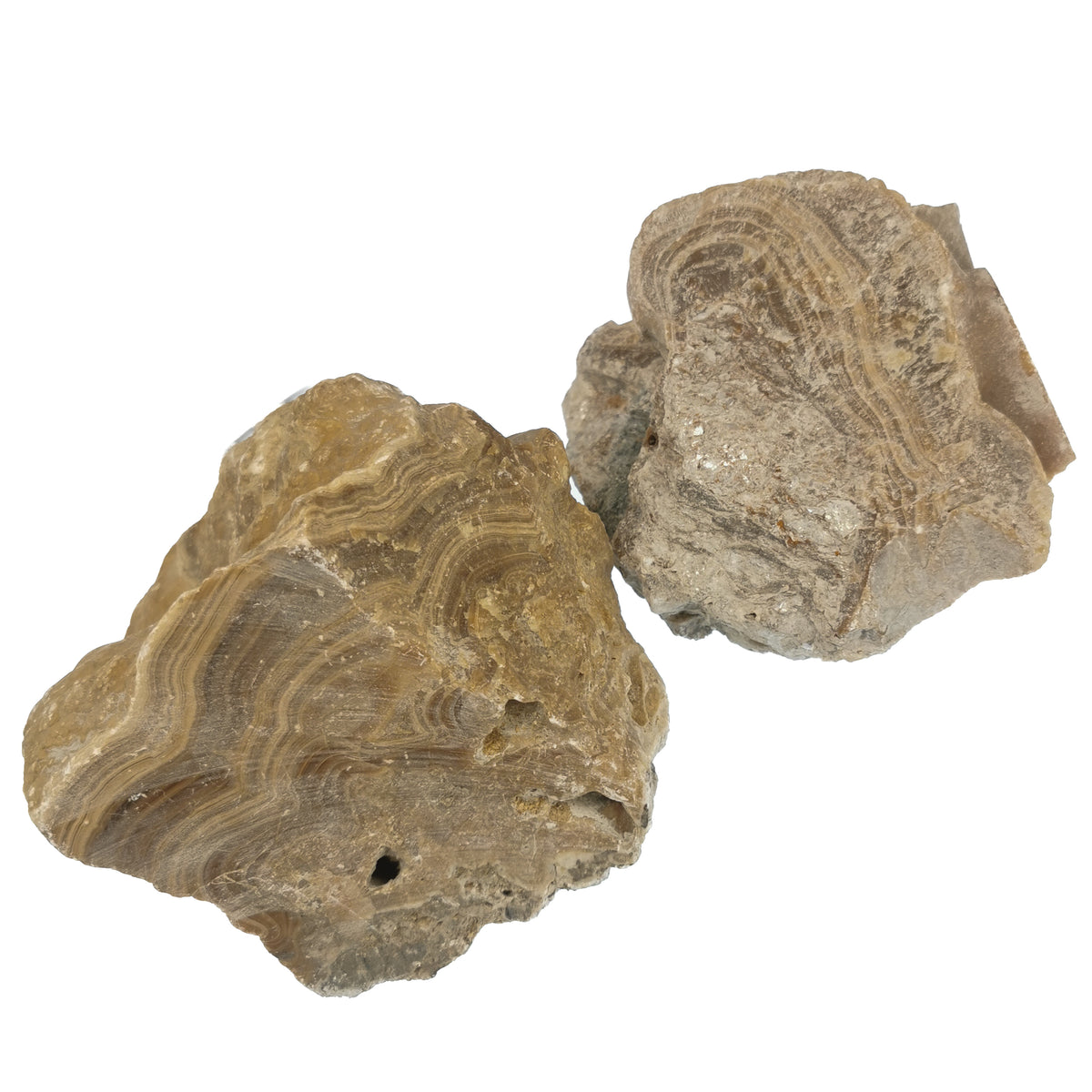 Banded Honey Onyx rough from Turkey.